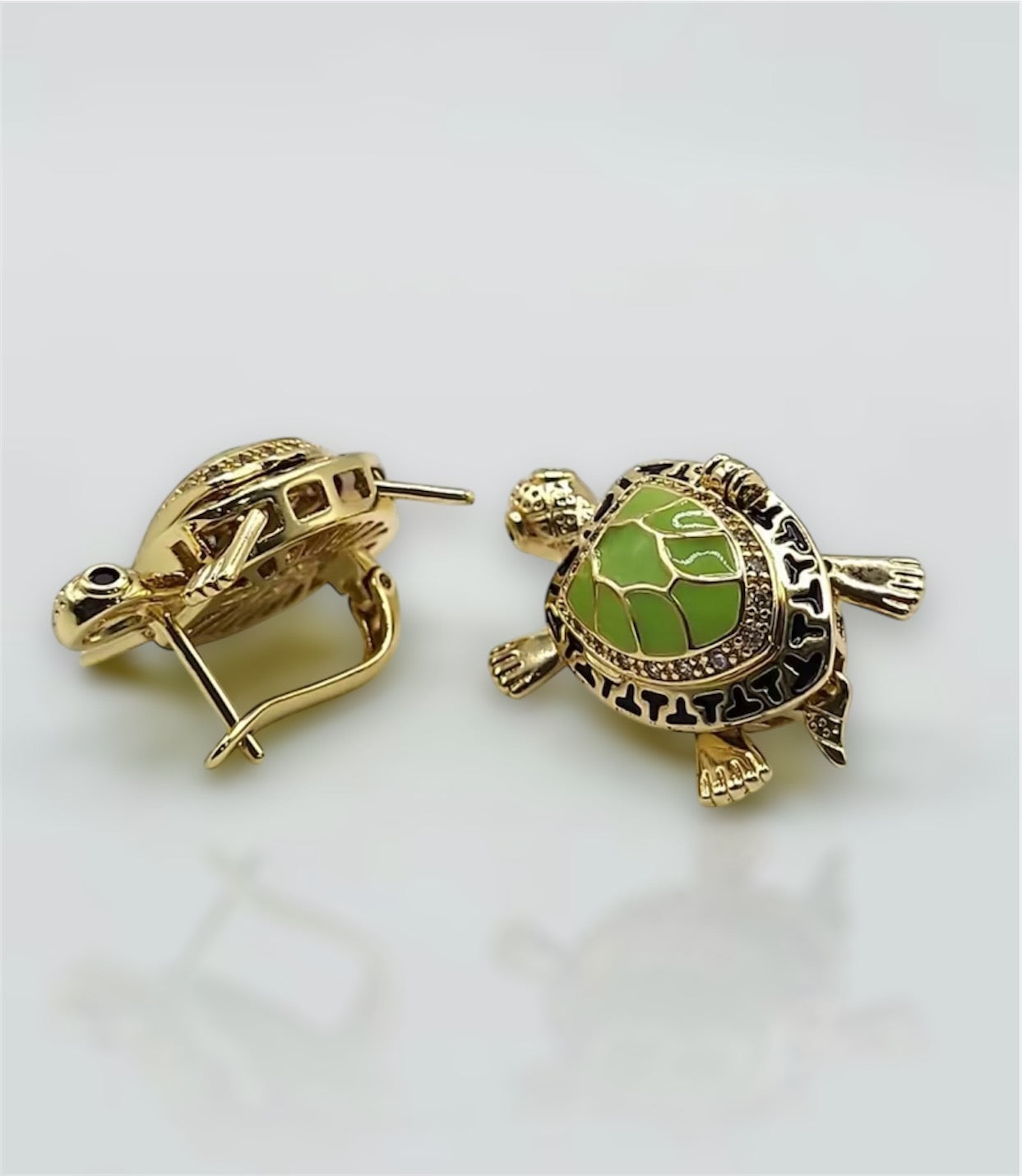 š¢ tortugas